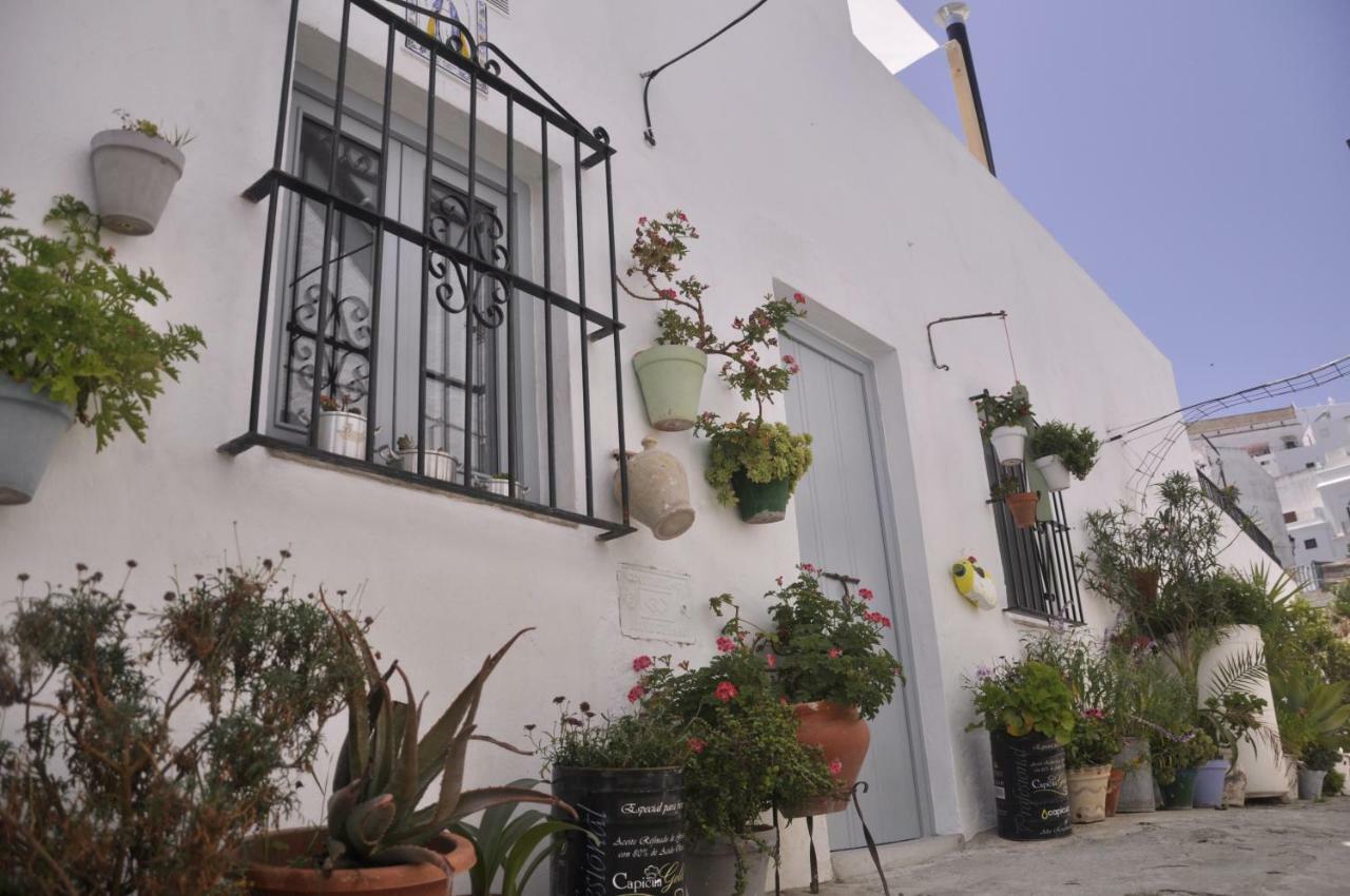 Vivienda Turistica De Alojamiento Rural Silla Vieja 11 贝赫尔-德拉弗龙特拉 外观 照片